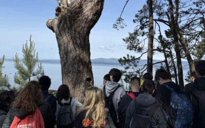 Excursão à Ilha de Cortegada